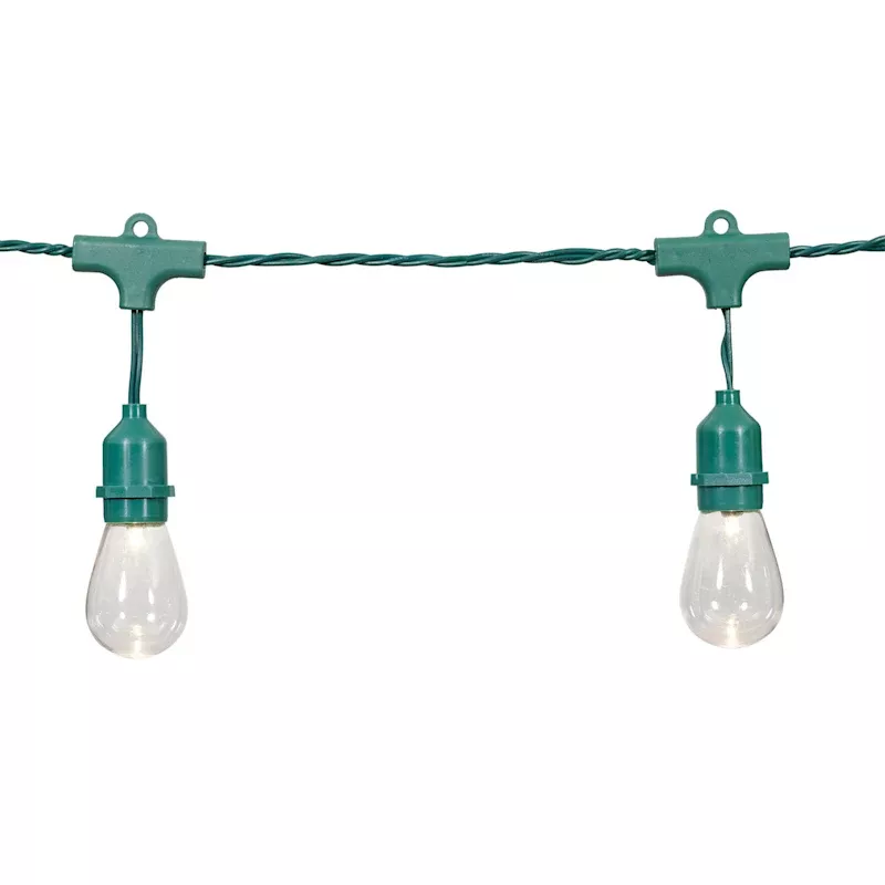 15-Count LED Edison String Lights with Green Commercial Wire