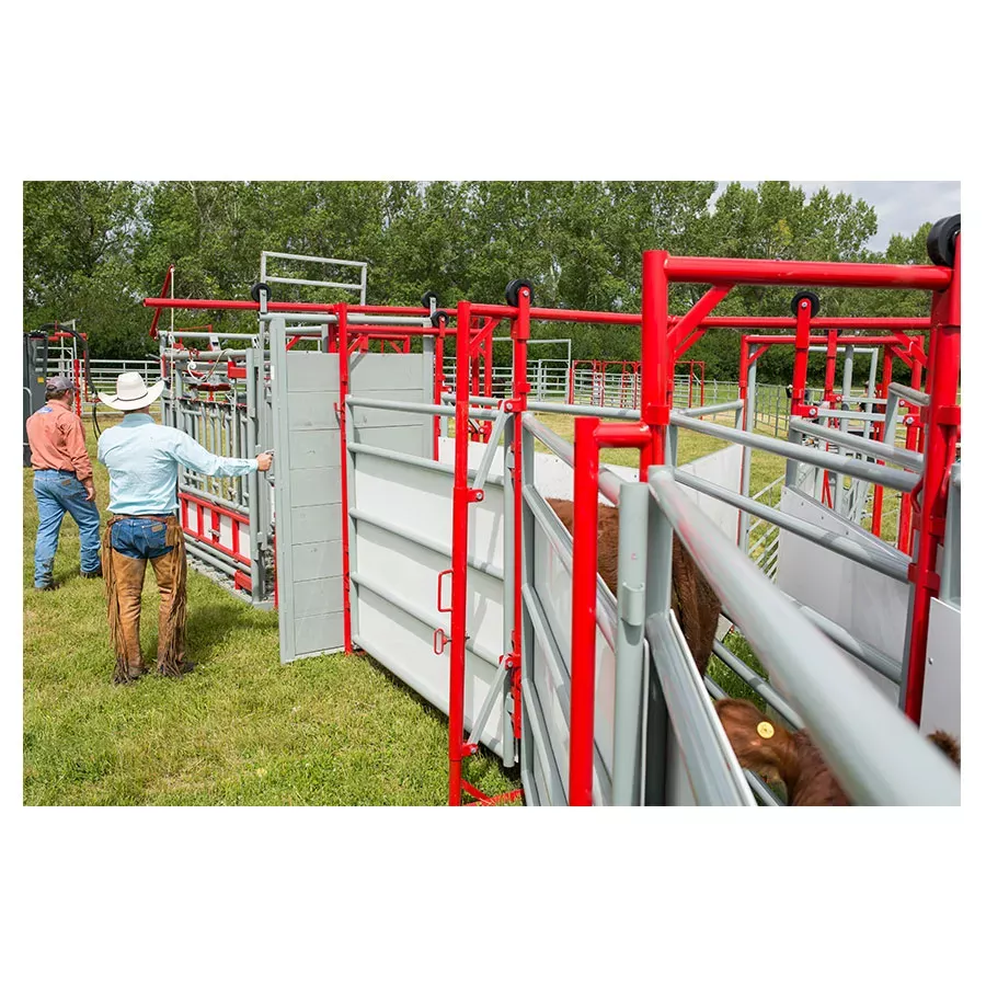 2W Livestock Equipment Wrangler Series Complete 3 Section Crowding Alley - 21'