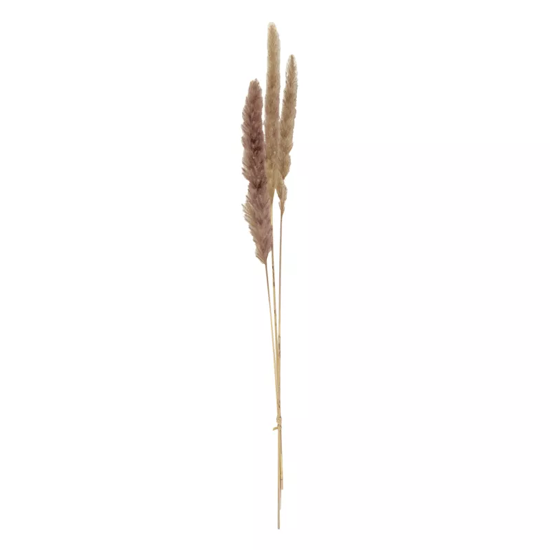 3-Piece Natural Mini Pampas Grass, 29"