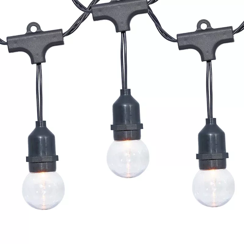 30-Count Clear G40 Globe String Lights with Black Commercial Wire