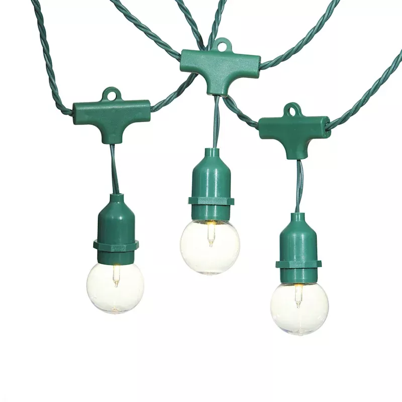30-Count Clear G40 Globe String Lights with Green Commercial Wire