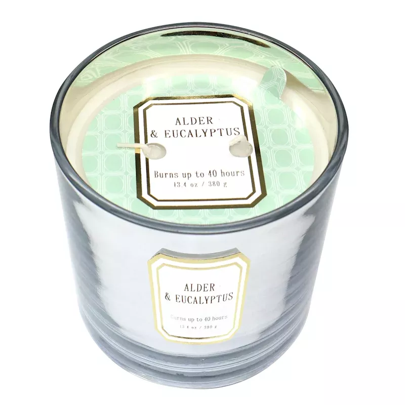 Alder & Eucalyptus Scented Jar Candle, 13.4oz