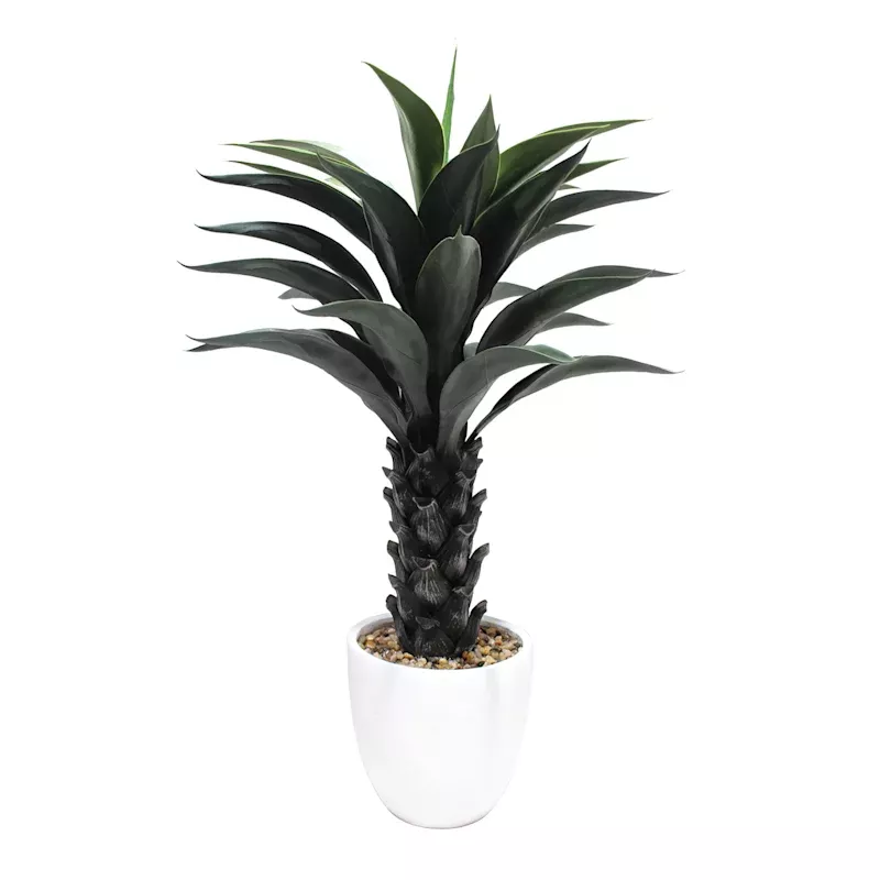 Aloe Plant in Cement Pot, 39"