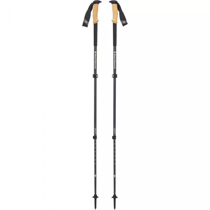Alpine Carbon Cork Poles