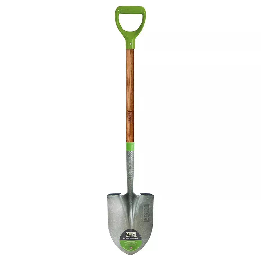 Ames D-Handle Digging Shovel with Wood Handle