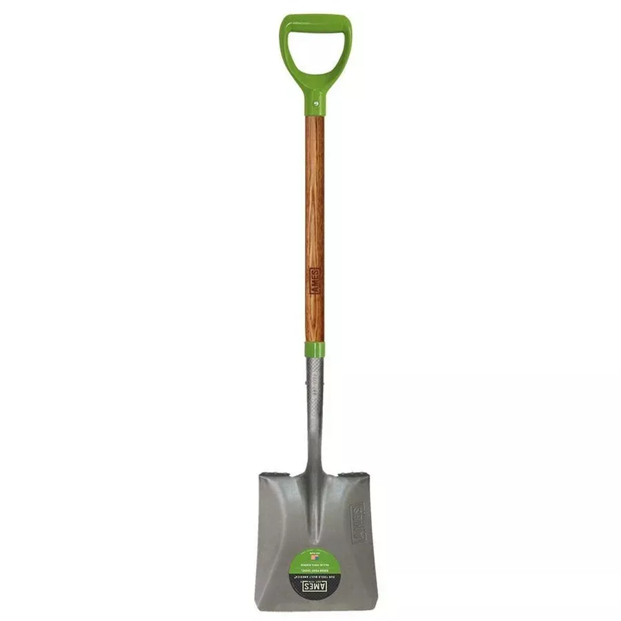 Ames D-Handle Transfer Shovel with Wood Handle