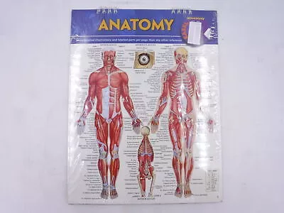 Anatomy QuickStudy Spiral Bound 21 Page Study Guide
