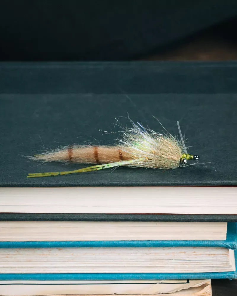 Andy Packmore's Skinny Redfish Cracklin