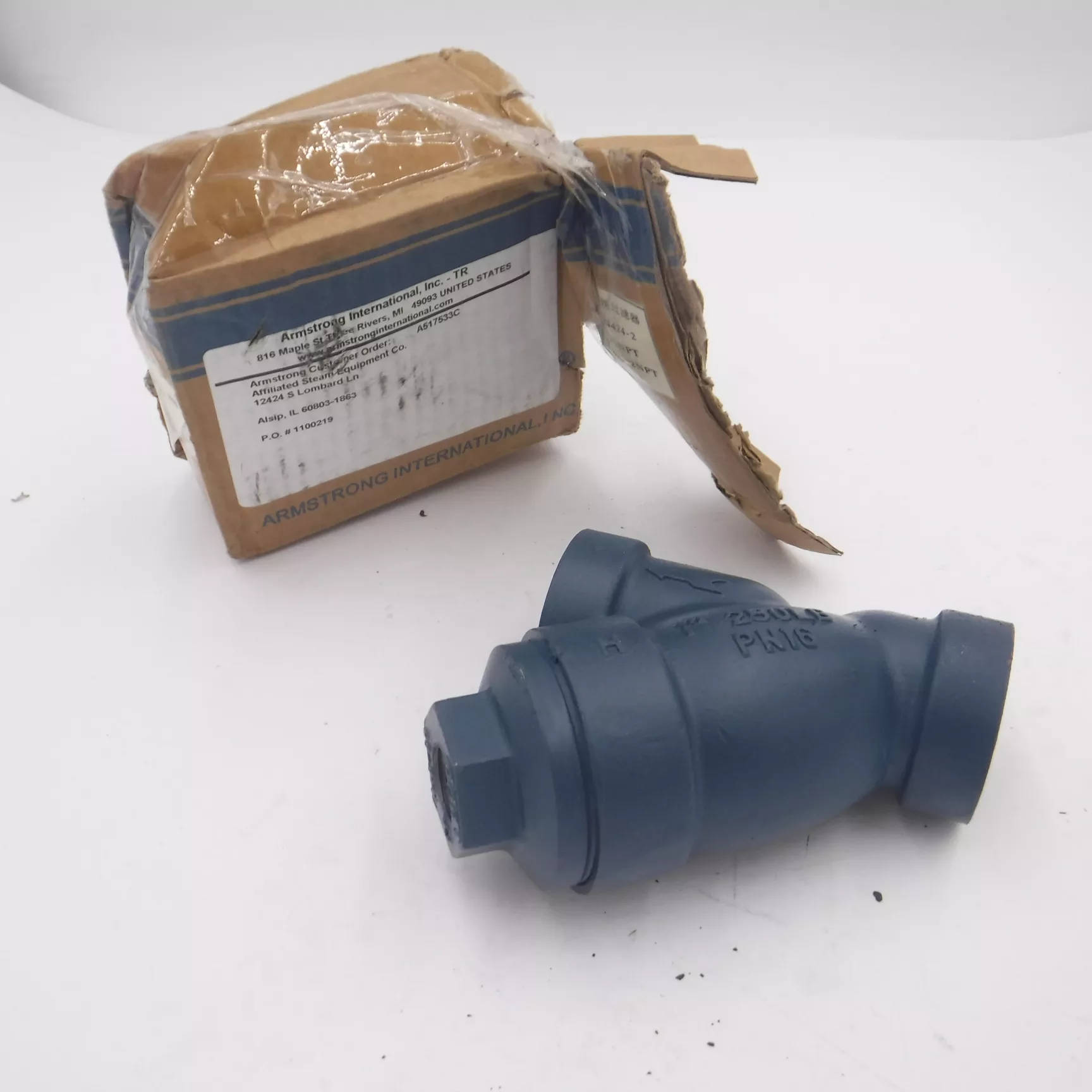 Armstrong 1″ Threaded Y Strainer C4424-2 250 PSIG