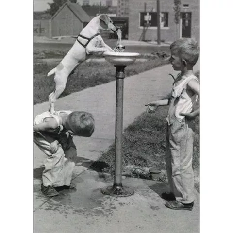 Avanti - Kids With Dog at Water Fountain Encouragement Card