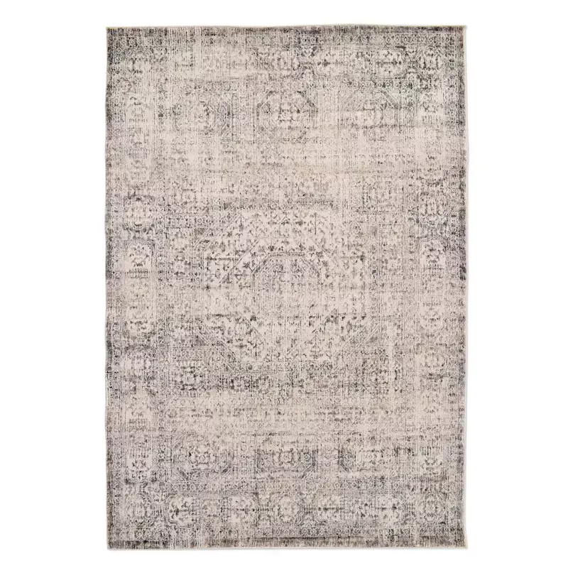 (B741) Firenze Neutral Traditional Area Rug, 5x7