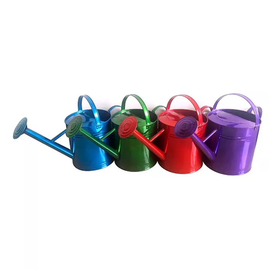 Backyard Expressions Colored Metal Watering Can