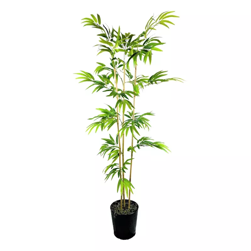 Bamboo Tree in Decorative Metal Pot, 6'