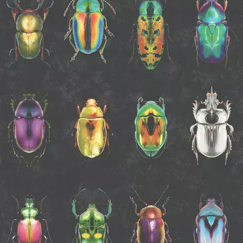 Beetle Jewels Multi Black Wallpaper