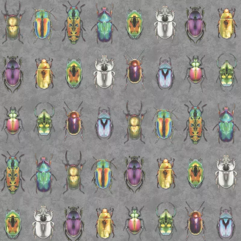 Beetle Jewels Multi Charcoal Wallpaper