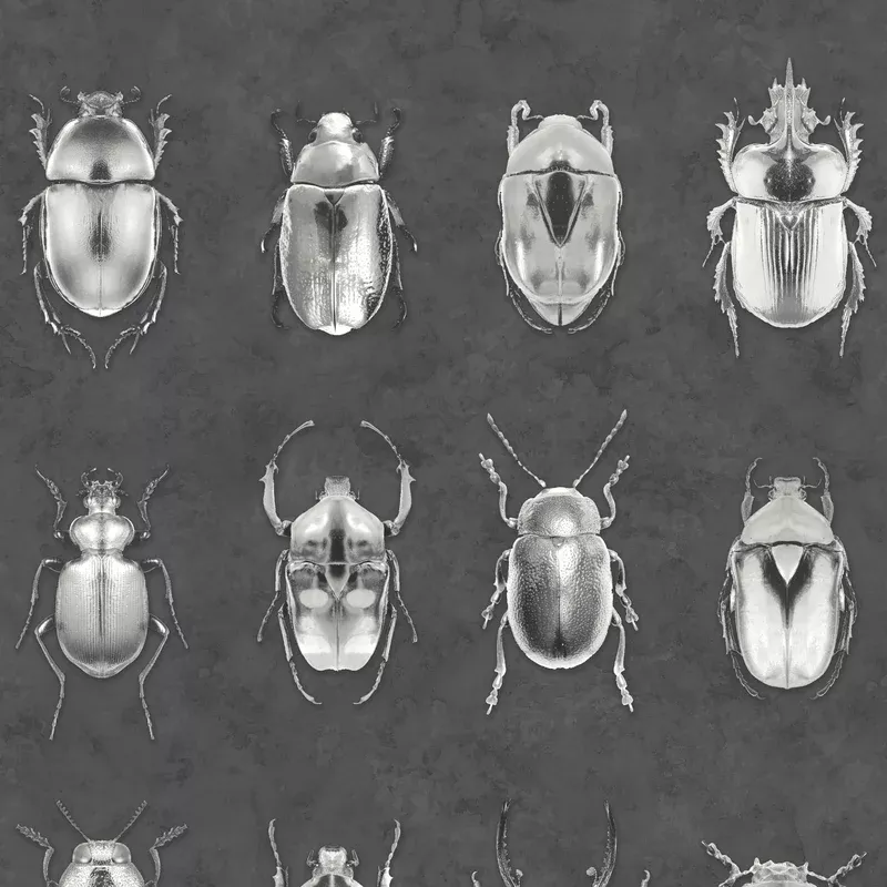 Beetle Jewels Silver/Grey Wallpaper