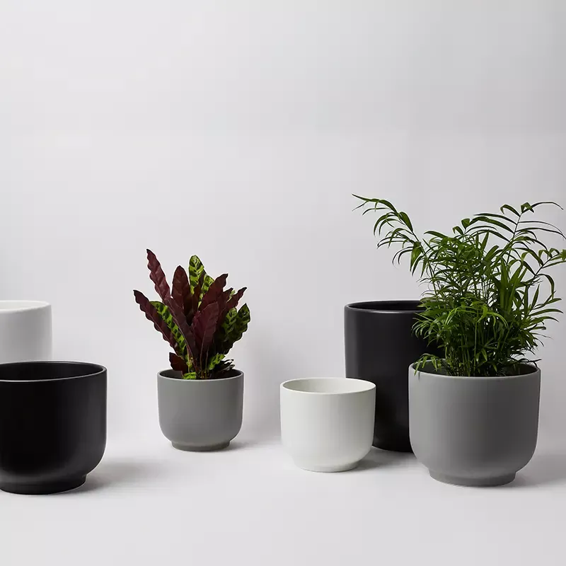 Bell Planter