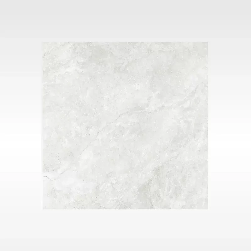 BH356 Cashmere Silver 600 x 600 Matt