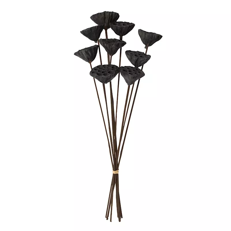 Black Lotus Pod Bunch, 24"