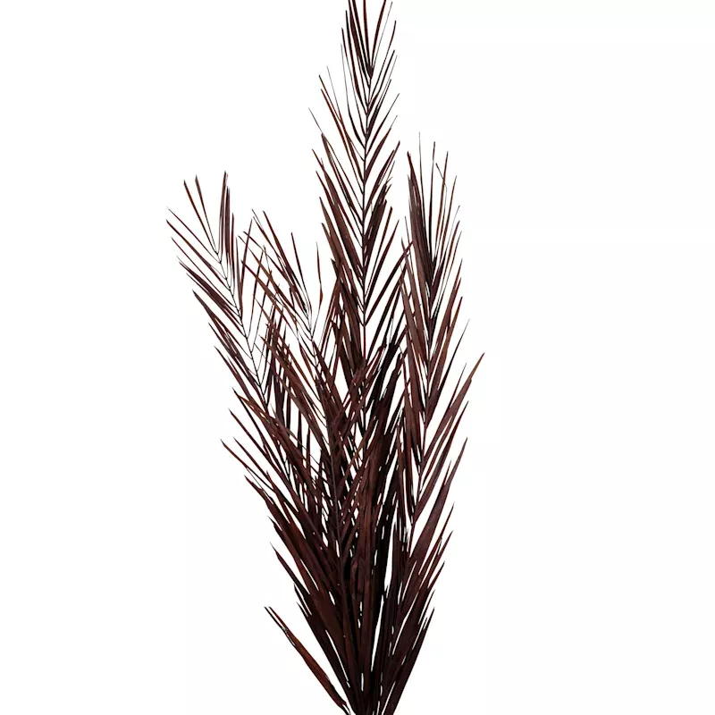 Black Mahogany Leaves, 30"