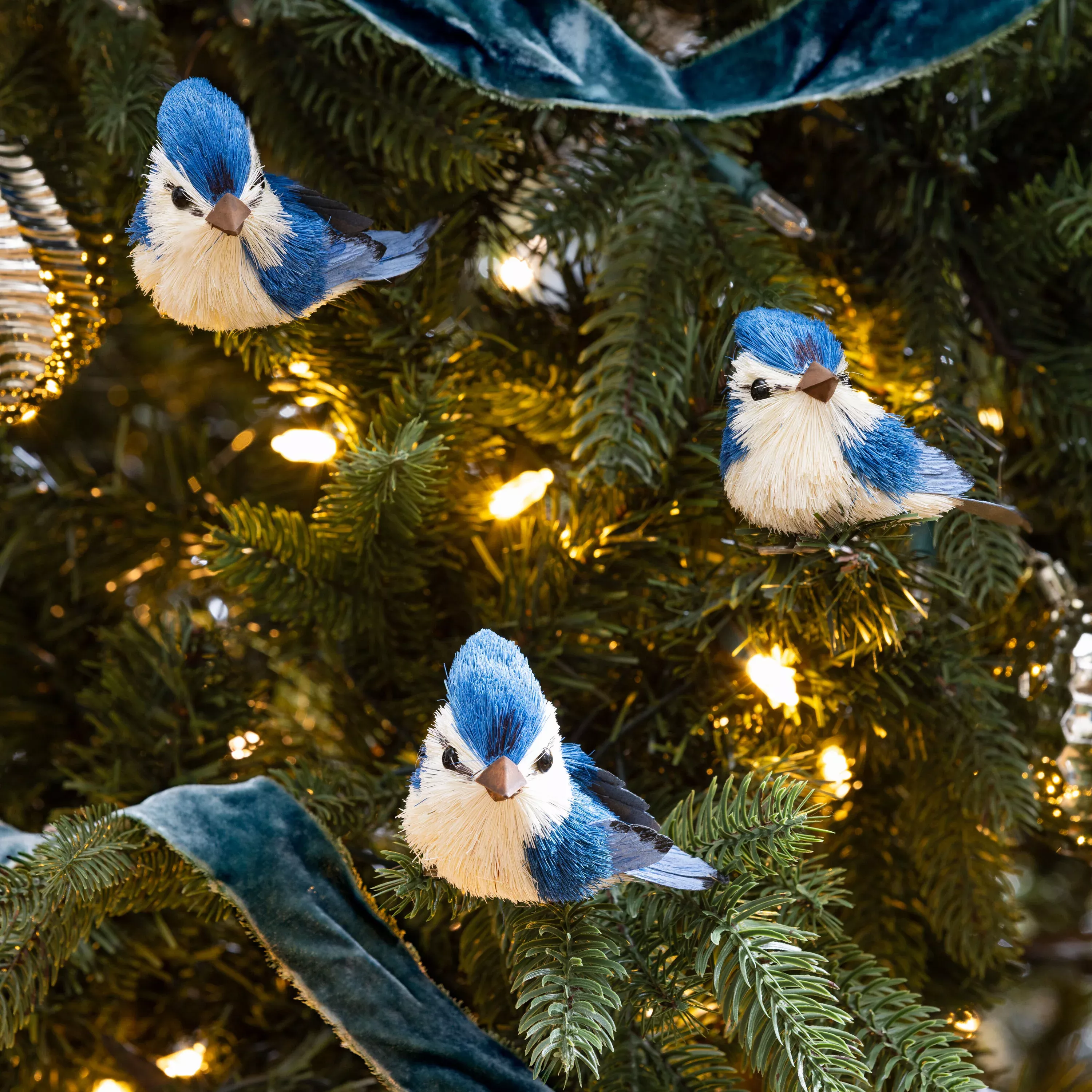 Blue Jays Tree Clip, Set of 3