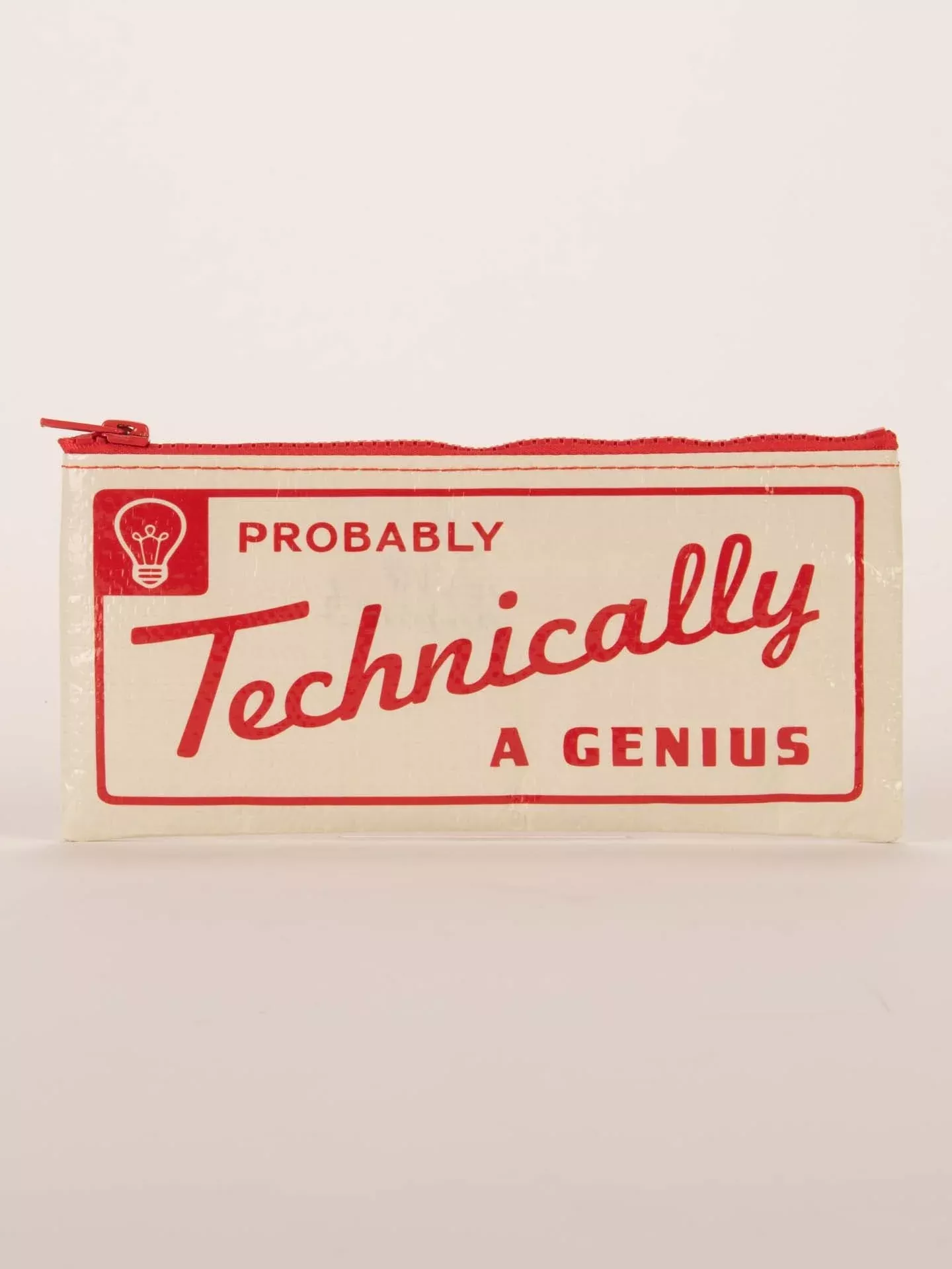 Blue Q - Probably A Genius Pencil Case