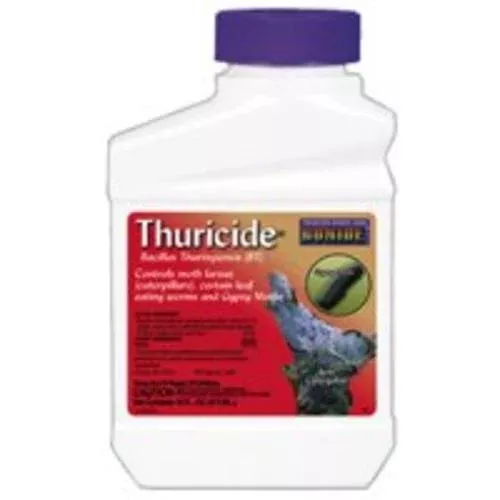 Bonide 803 Thuricide BT Insect Killer, 1 Pint