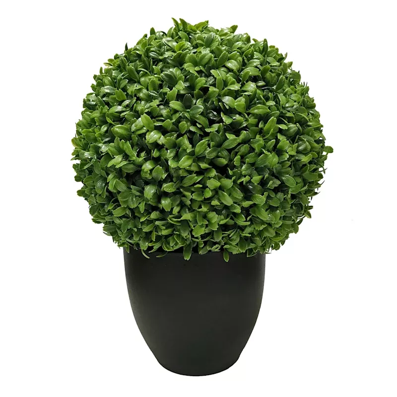 Boxwood Ball Plant with Black Planter, 16"