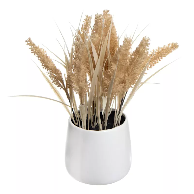 Brown Dog Tail in Ceramic Pot, 11"