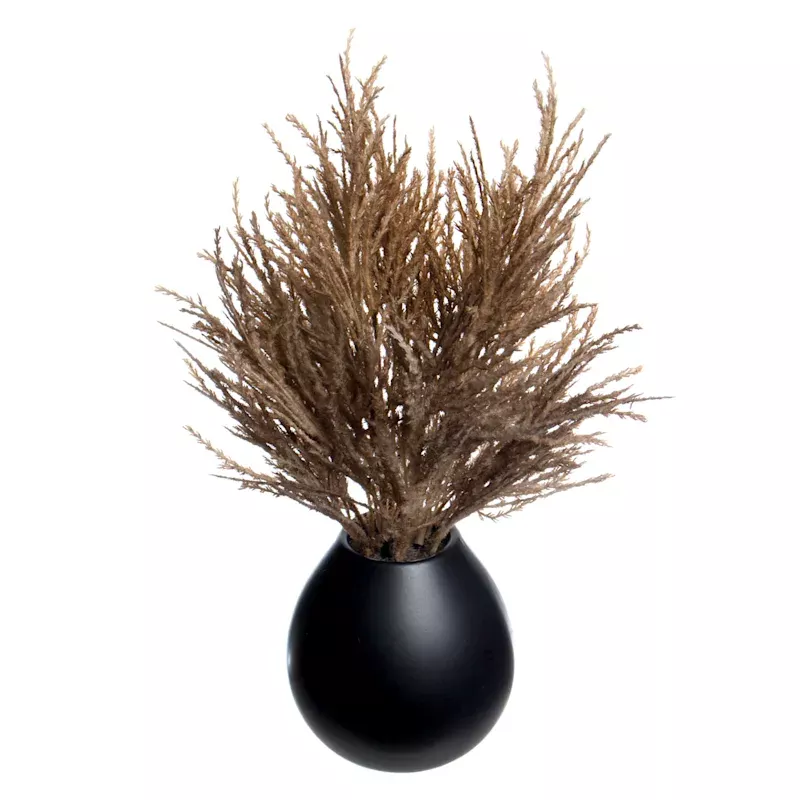 Brown Pampas Grass in Black Pot, 16"