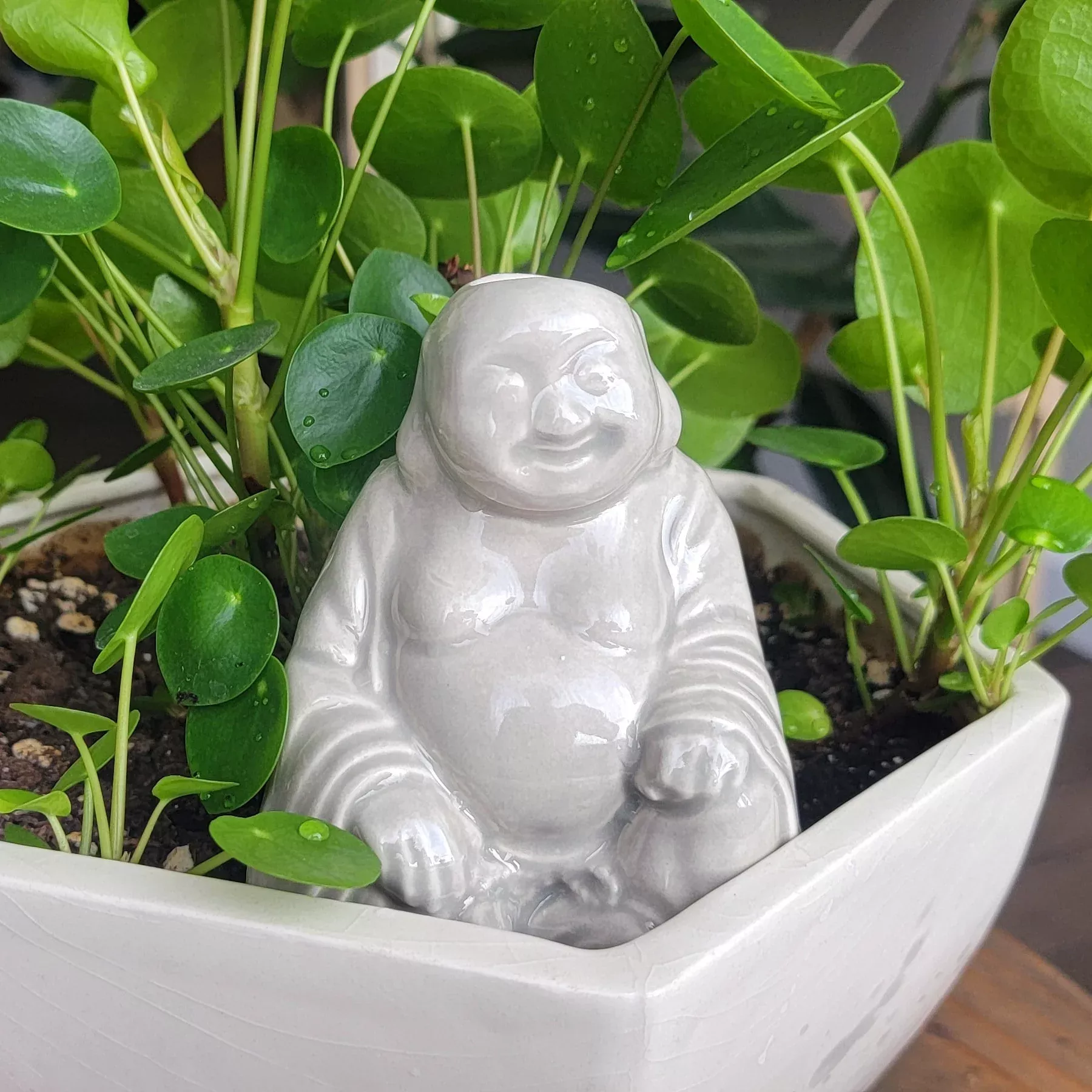 Buddha Watering Spike