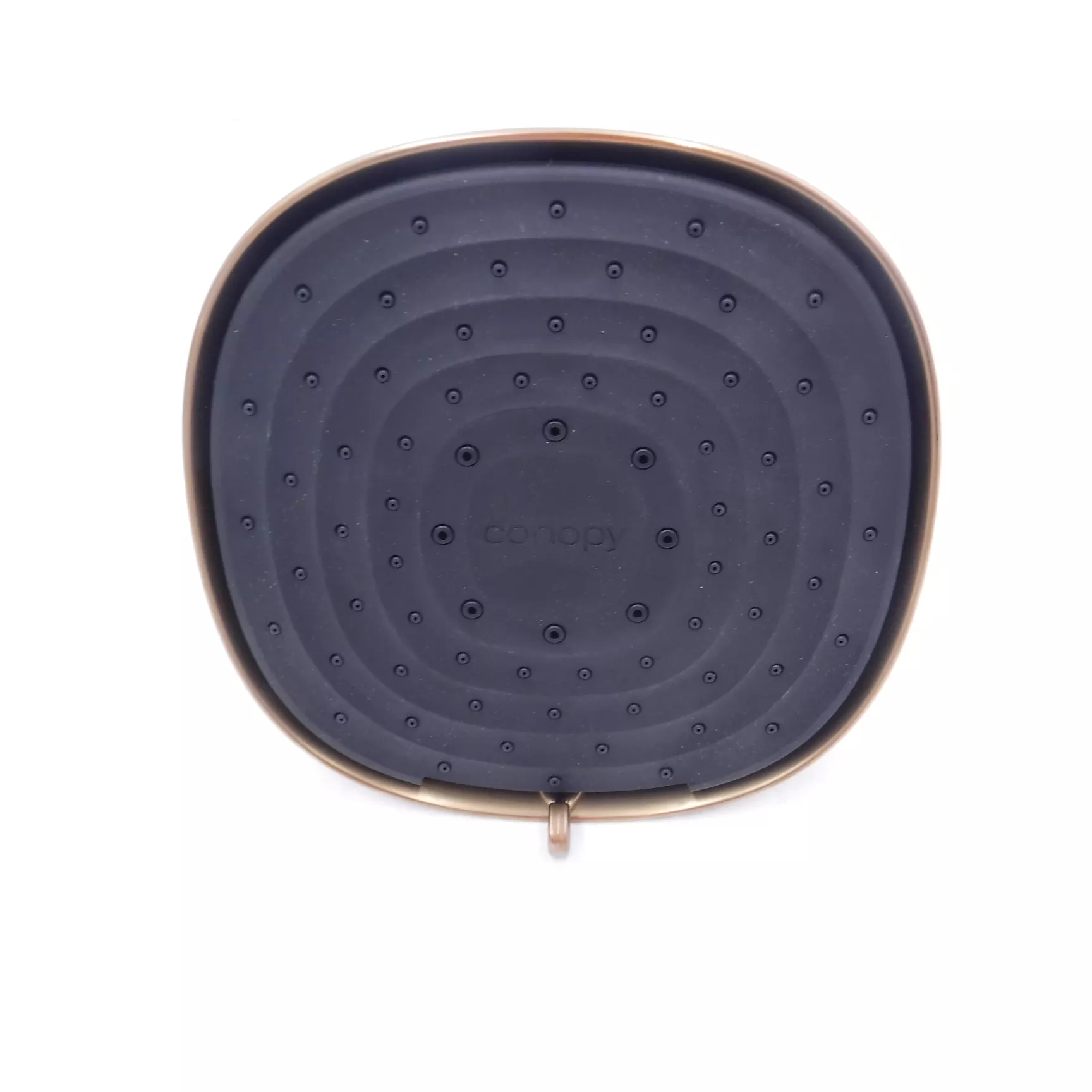 Canopy Brand Filtered Shower Head Brass