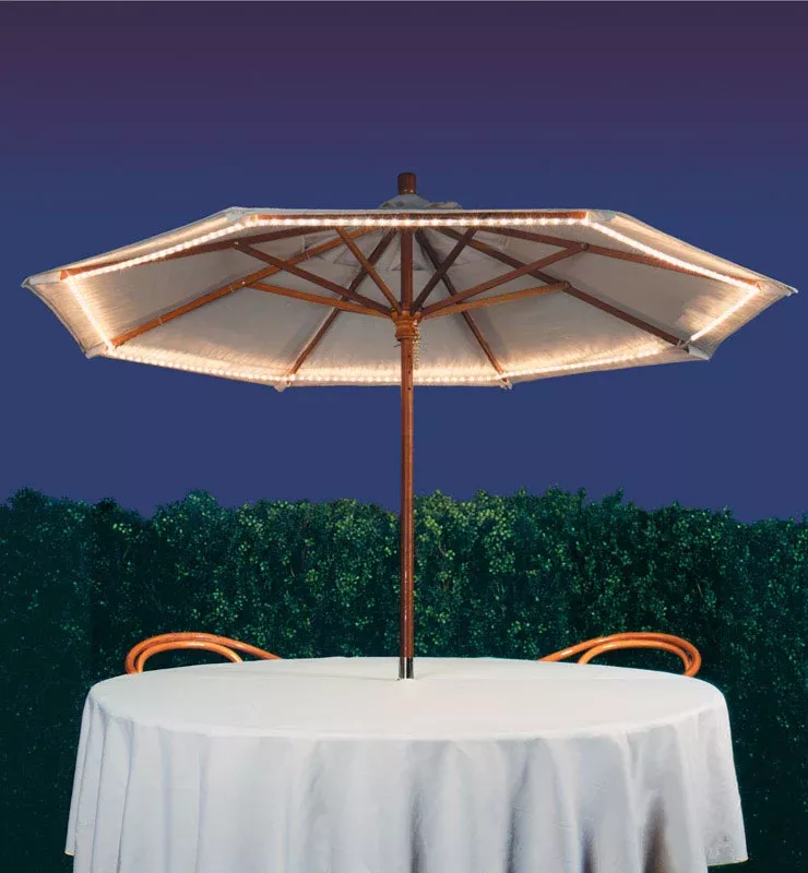 Celebrations Indoor/Outdoor Incandescent Umbrella Flexible Rope Light, 20 Feet, Clear Lights