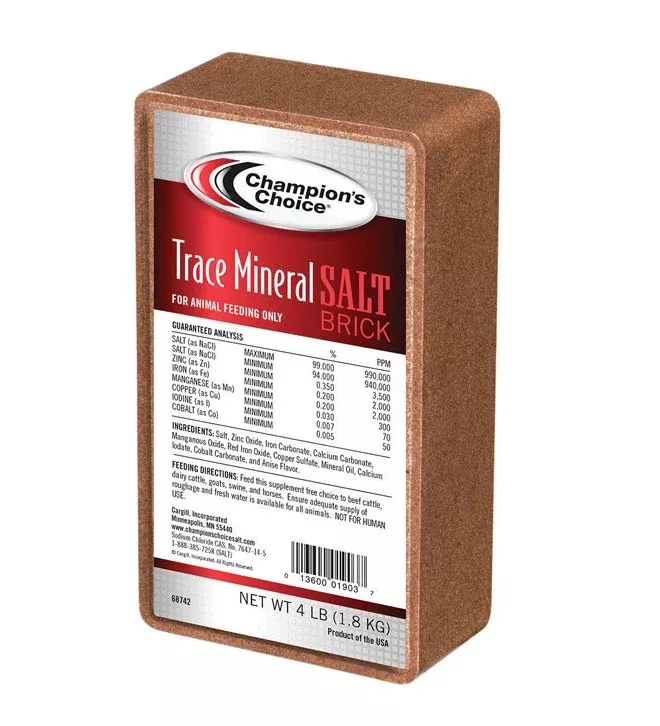 Champion Choice 110004997 Trace Mineral Salt Brick, 4 lbs