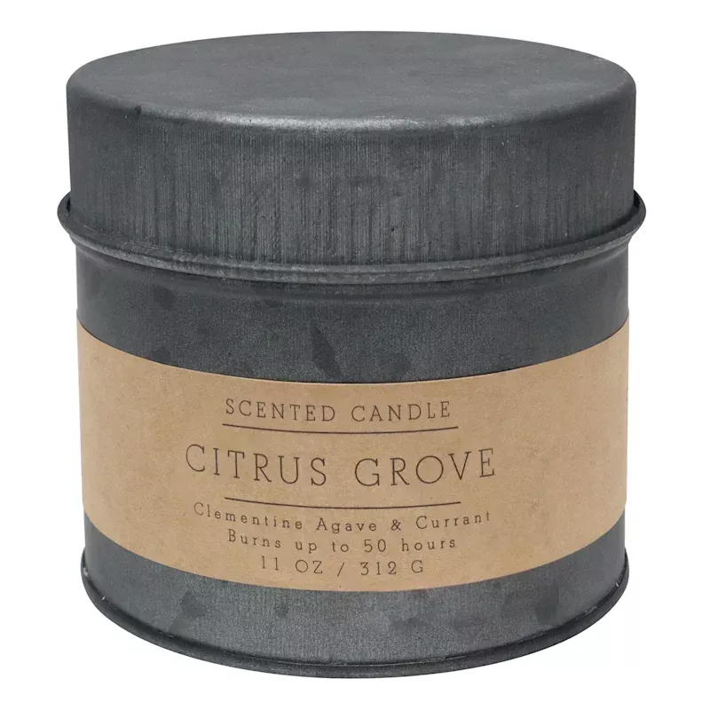 Citrus Grove Scented Tin Candle, 11oz