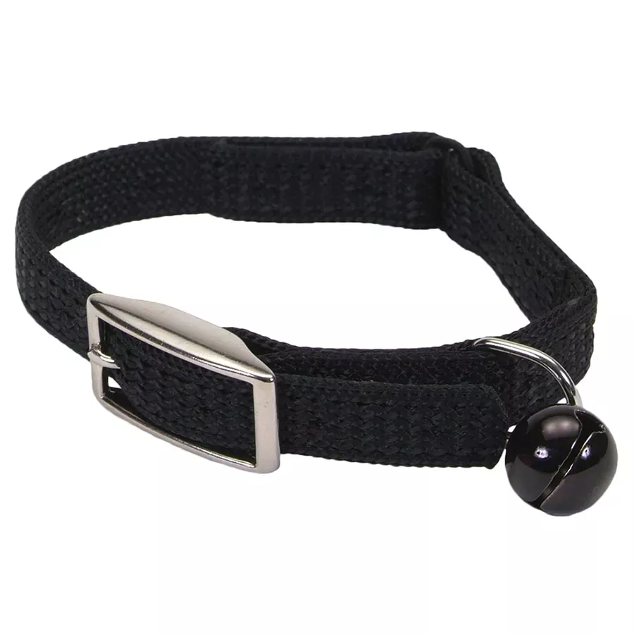 Coastal Sassy Snag-Proof Nylon Safety Cat Collar - 12"