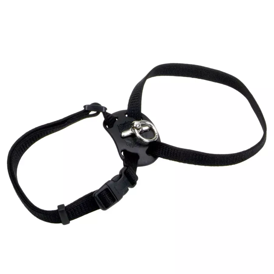 Coastal Size Right Snag-Proof Adjustable Cat Harness
