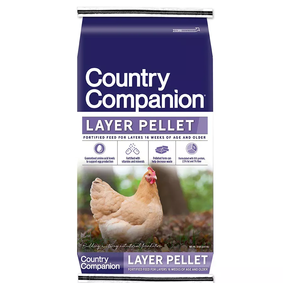 Country Companion Layer Pellet 50lb