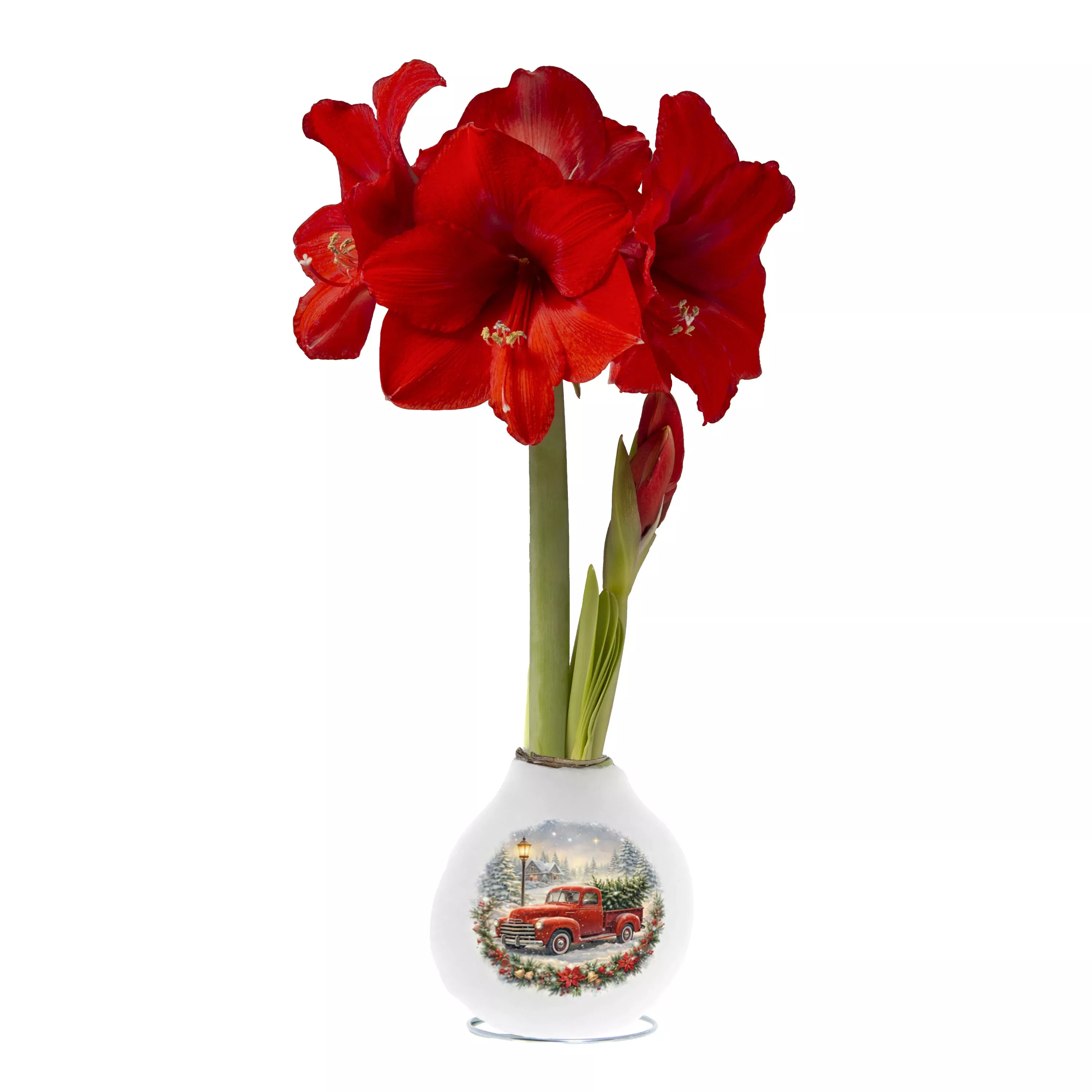 Craftz Printed Red Truck Garden Bulb