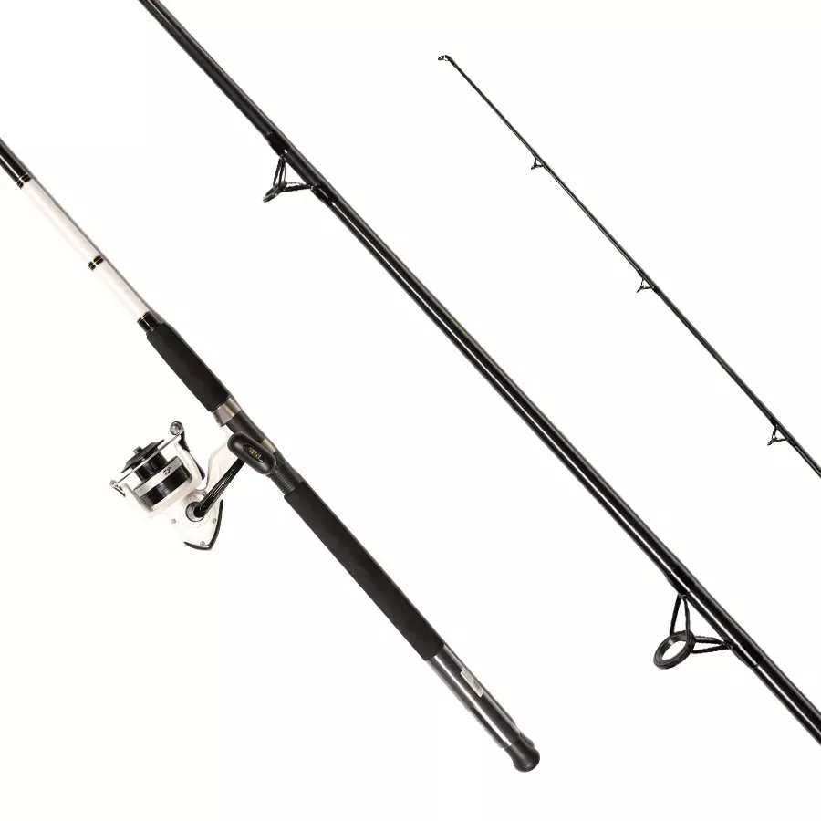 Daiwa D-Wave Saltwater Spinning Combo - 10'