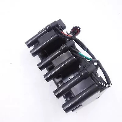 Delphi GN10417 Distributor Coil For 1999-2005 Hyundai Sonata, 2001-2006 Optima