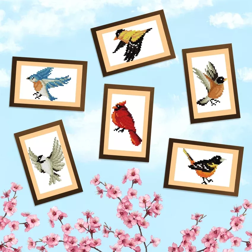 Diamond Art Club - Mini Dazzles, Birds
