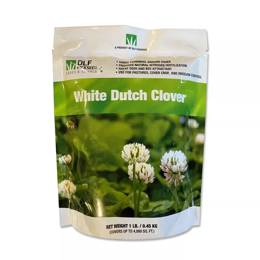 DLF Dutch Clover Seed - White - 1 lb