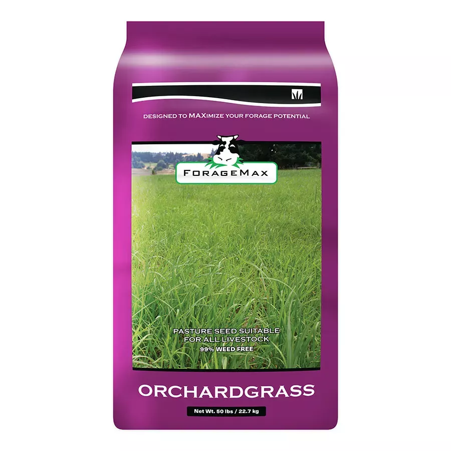 DLF Orchardgrass ForageMax Grass Seed - 50 lb