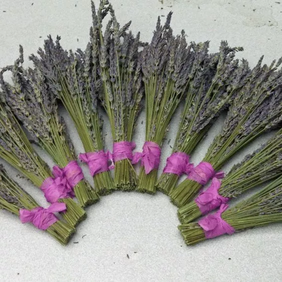 Dried Lavender Bundles 8-10 inch Small Pack of 10 Home Decor