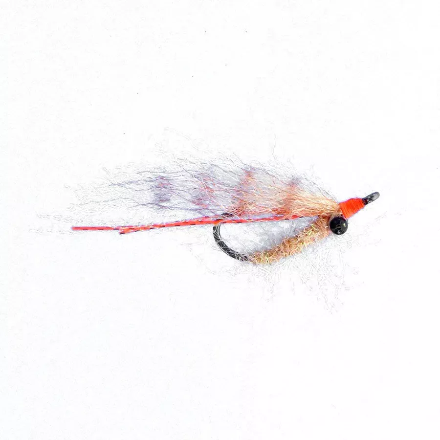 Enrico Puglisi Island Christmas Shrimp - 8 - Tan