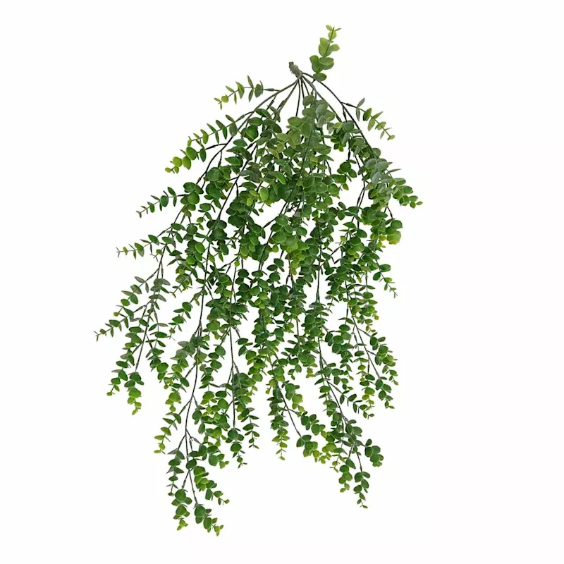 Eucalyptus Hanging Bush, 31"