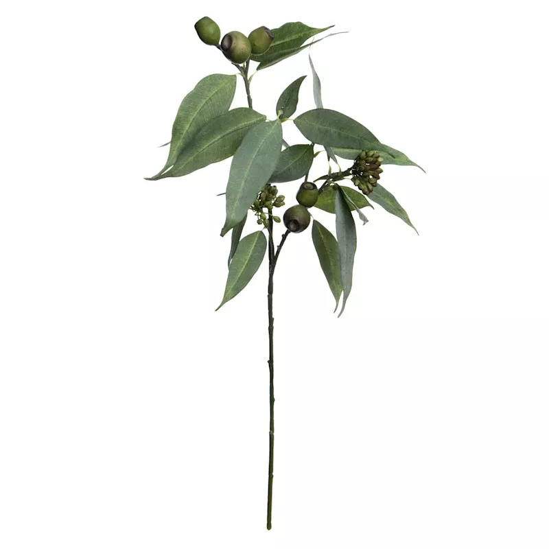 Eucalyptus & Seed Spray, 32"