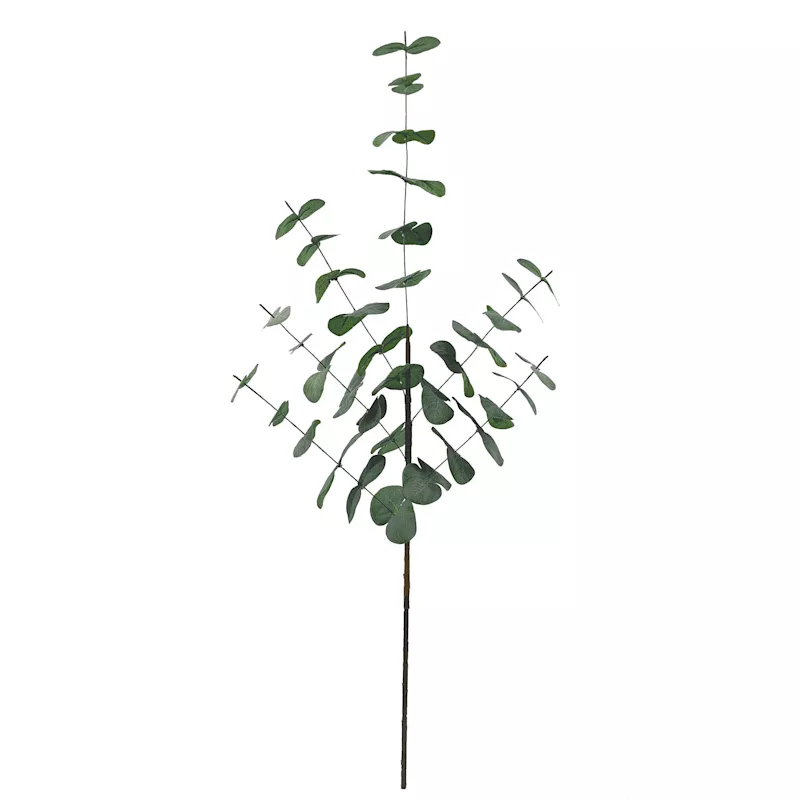 Eucalyptus Spray, 30.5"