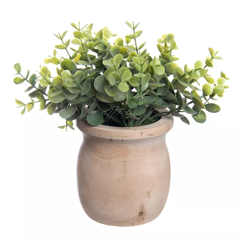 Eucalyptus Spray in Wooden Pot, 9"